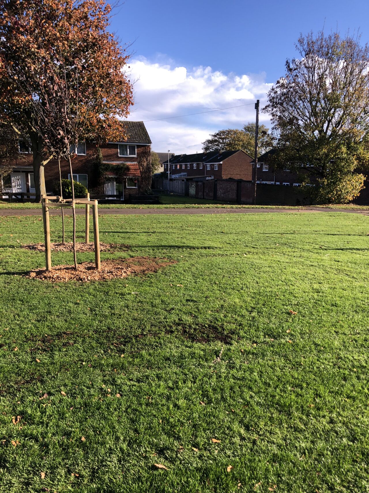 TLR Landscaping and Garden Maintenance in Leicestershire Rutland and Northamptonshire