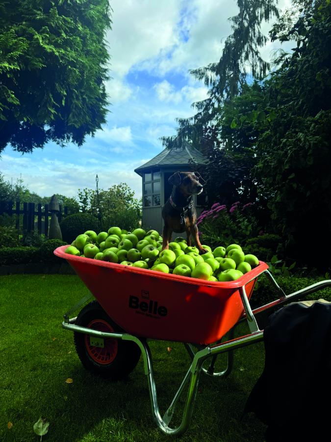 TLR Landscaping and Garden Maintenance in Leicestershire Rutland and Northamptonshire